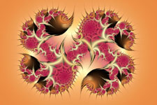 Flower Bug Fractal