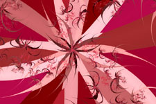 Starflowers Fractal